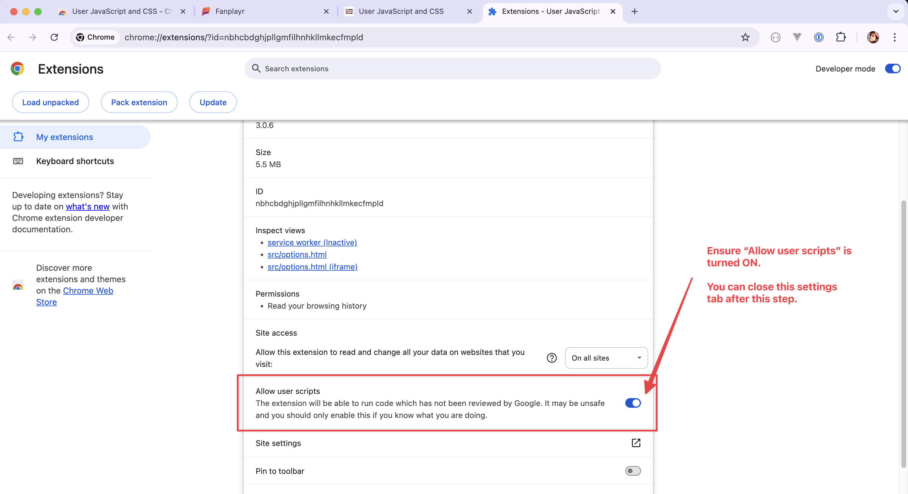 Ensuring the "Allow user scripts" setting is turned on for the extension.